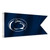 Penn State Nittany Lions Yacht Boat Golf Cart Flags
