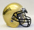 Idaho Vandals Schutt Mini Junior Helmet