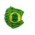 Oregon Ducks Face Mask Disposable 6 Pack