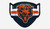 Chicago Bears Pleated Face Cover