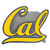 Cal Berkeley Bears Hitch Cover Class III Wire Plugs