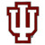 Indiana Hoosiers Hitch Cover Class III Wire Plugs