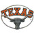 Texas Longhorns Hitch Cover Class III Wire Plugs