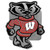 Wisconsin Badgers Hitch Cover Class III Wire Plugs