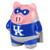 Kentucky Wildcats Piggy Bank - Large Stand Up Superhero