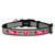 Philadelphia Phillies Reflective Small Baseball Collar