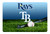 Tampa Bay Rays Baseball Pet Bowl Mat-L