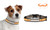 Tennessee Volunteers Classic Leather Toy Football Collar