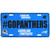 Carolina Panthers Hashtag License Plate