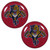 Florida Panthers® Ear Gauge Pair 2G