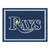 MLB - Tampa Bay Rays 8x10 Rug 87"x117"