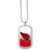 Arizona Cardinals Team Tag Necklace