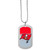 Tampa Bay Buccaneers Team Tag Necklace