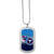 Tennessee Titans Team Tag Necklace