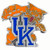 Kentucky Wildcats Lapel Pin