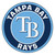 MLB - Tampa Bay Rays Roundel Mat 27" diameter
