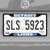 Detroit Lions License Plate Frame - Black "Lion" Logo & Wordmark Blue