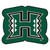 University of Hawaii - Hawaii Rainbows Mascot Mat H Primary Logo Green