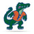 Florida Gators Pennant Shape Cut Mascot Design