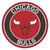 NBA - Chicago Bulls Roundel Mat 27" diameter