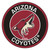 NHL - Arizona Coyotes Roundel Mat 27" diameter