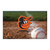 MLB - Baltimore Orioles Scraper Mat 19"x30"