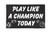 Play Like a Champion Flag 3x5ft Poly