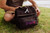 Atlanta Braves Tarana Lunch Bag Cooler with Utensils (Carbon Black)
