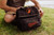 Baltimore Orioles Tarana Lunch Bag Cooler with Utensils (Carbon Black)