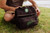Oakland Athletics Tarana Lunch Bag Cooler with Utensils (Carbon Black)