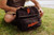 San Francisco Giants Tarana Lunch Bag Cooler with Utensils (Carbon Black)