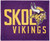 Minnesota Vikings Towel 15x18 Rally Style Full Color Style