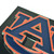 Las Vegas Raiders Color Hitch Cover - Chrome Raider Shield Primary Logo Black