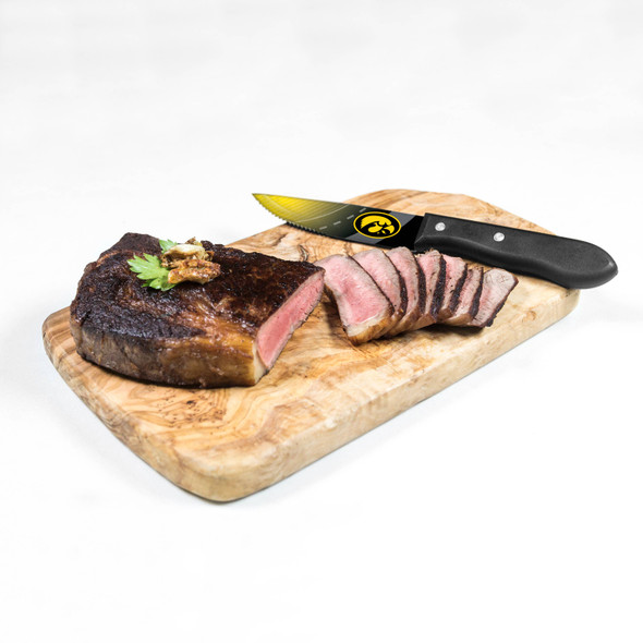 NCAA Iowa Hawkeyes 4pc Steak Knife Set