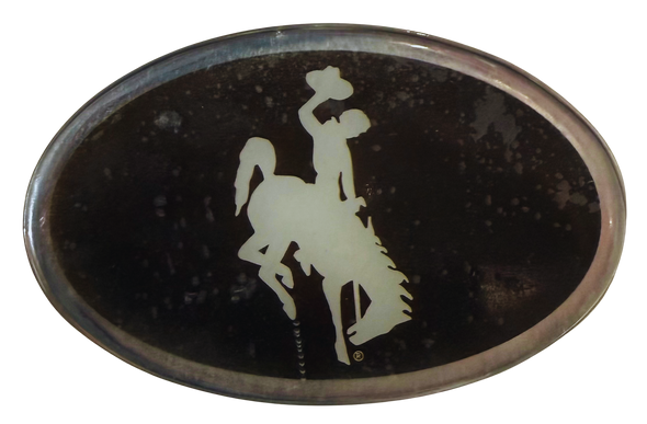 Wyoming Cowboys Color Auto Emblem