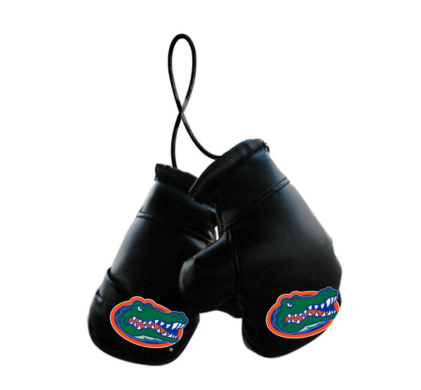 Florida Gators Mini Boxing Gloves