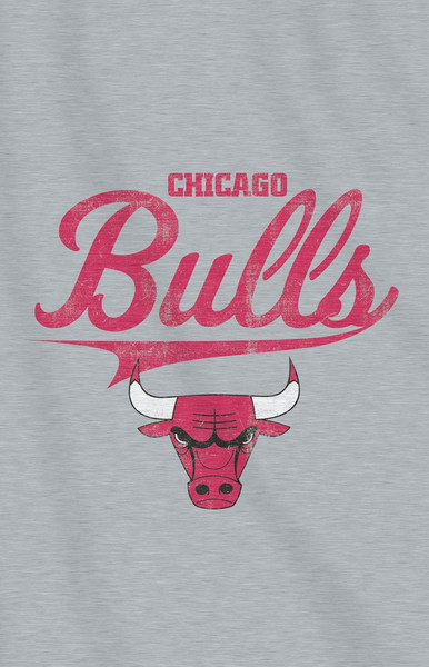 Chicago Bulls Blanket 54x84 Sweatshirt Script Design