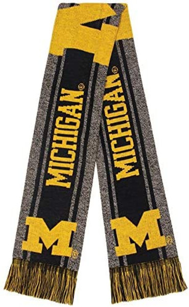 Michigan Wolverines Scarf Big Logo Wordmark Gray