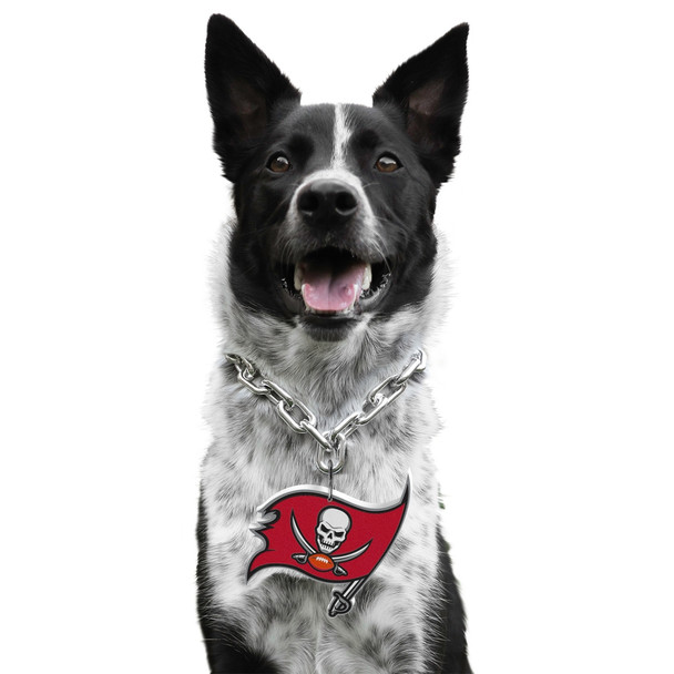 Tampa Bay Buccaneers Pet Fan Chain Tampa Bay Buccaneers Pet Fan Chain