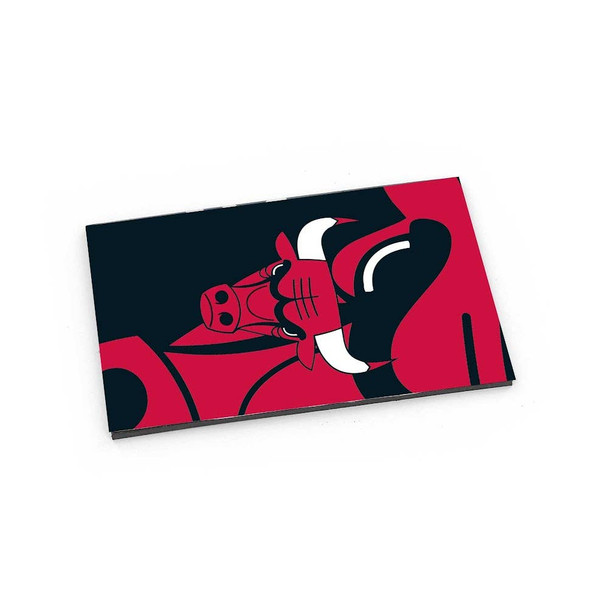 NBA Chicago Bulls Dynamic Magnet