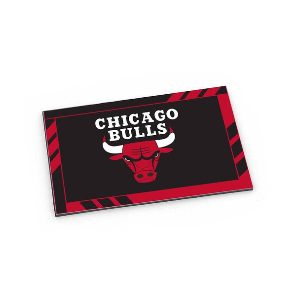 NBA Chicago Bulls Logo Magnet