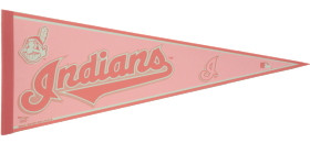 Cleveland Guardians Pennant - Pink