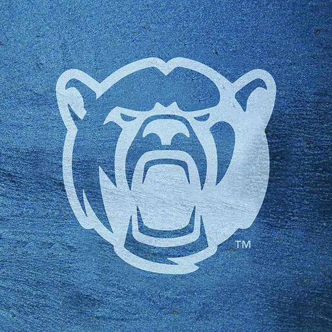 Baylor Bears Slate Square Coaster Set