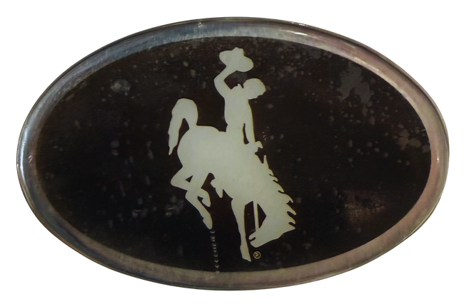 Wyoming Cowboys Color Auto Emblem