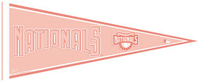 Washington Nationals Pennant - Pink