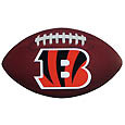 Cincinnati Bengals Small Magnet