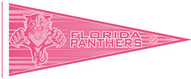 Florida Panthers Pennant - Pink