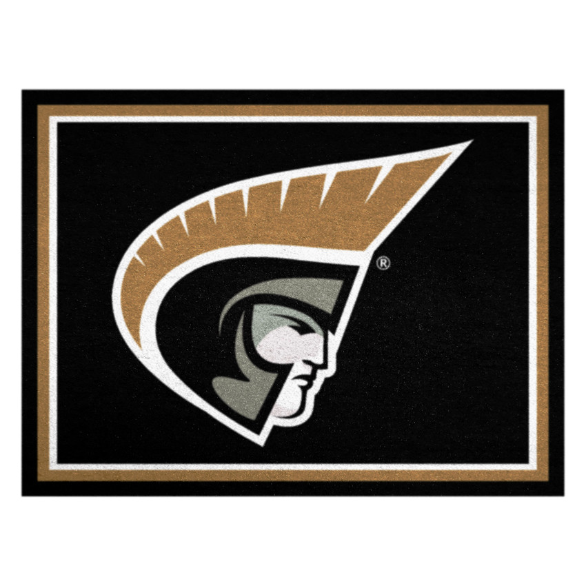 Anderson (SC) Trojans 8ft. x 10 ft. Plush Area Rug