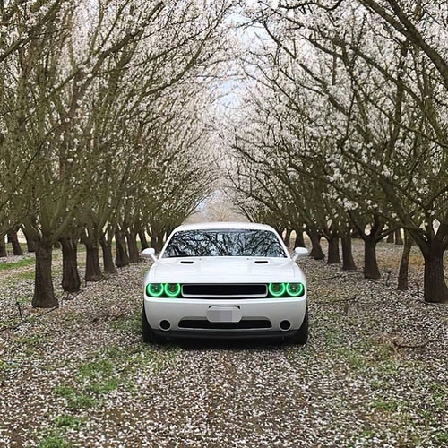 Oracle 08-14 Dodge Challenger LED Projector Headlight Halo Kit - Green - 2238-004 Photo - lifestyle view