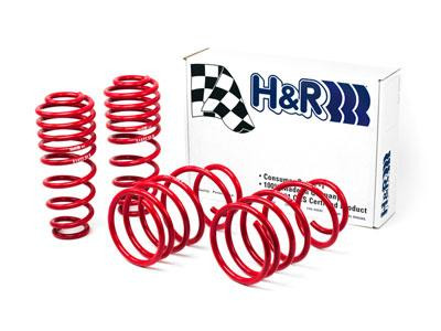 H&R 05-09 Ford Mustang/Convertible/GT/Shelby GT/Shelby GT-H V6/V8 Race Spring - 51655-88 Photo - Primary